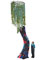 Body Glove Sequoia